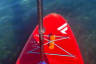 This image for Image Layouts addon